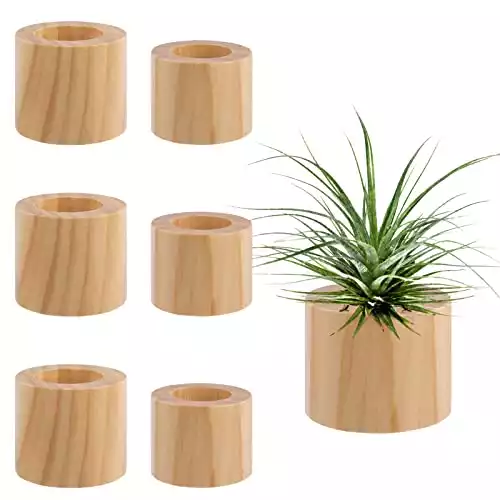 6 Wooden Air Plant Holders