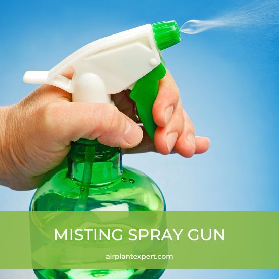 Misting spray gun for air plants
