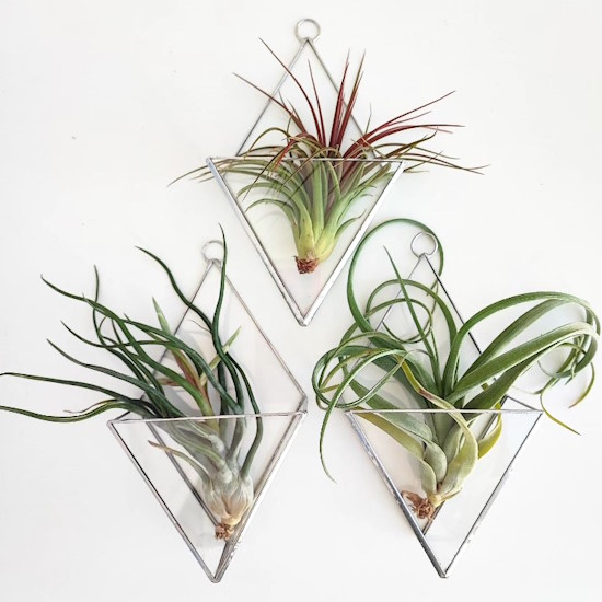Trio of stylish geometric hangers